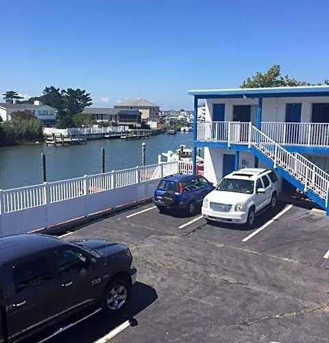 Islander 2*